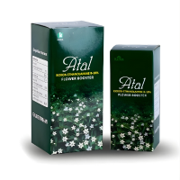 Organic Spinach Leaf Seeds