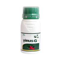 Virus G (Viricide)