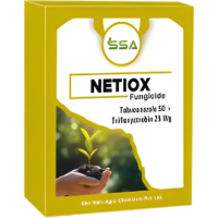 Netiox (Tebuconazole 50% + Trifloxystrobin 25% WG)