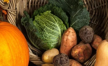 Precision Farming Techniques