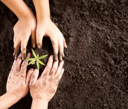 Agri Consultancy Benefits